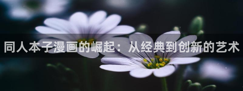 虫虫虫虫漫画：同人本子漫画的崛起：从经典到创新的艺术