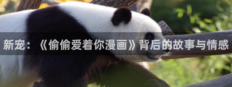 虫虫漫画hh：新宠：《偷偷爱着你漫画》背后的故事与情感