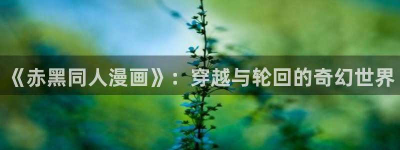 虫虫漫画最新版：《赤黑同人漫画》：穿越与轮回的奇幻世界