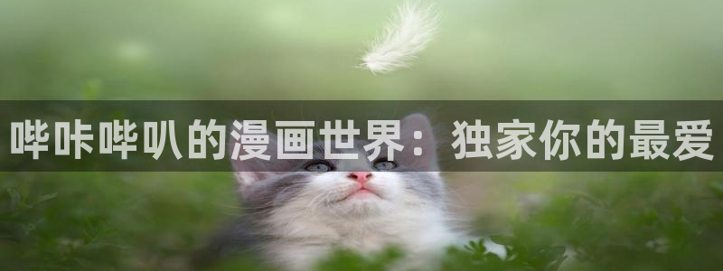 虫虫漫画漫：哔咔哔叭的漫画世界：独家你的最爱