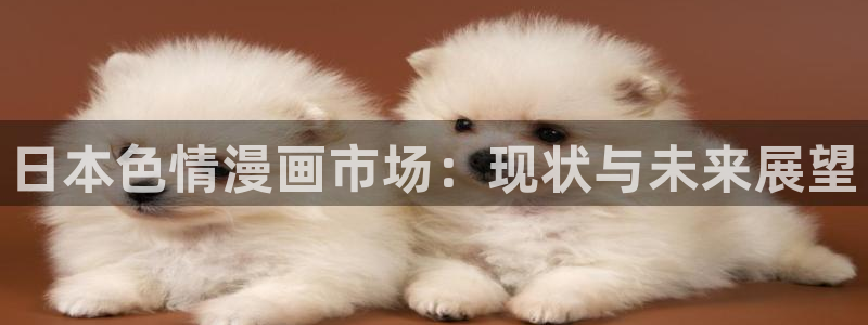 虫虫漫画免费观看在线：日本色情漫画市场：现状与未来展望